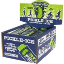 Van Holten Pickle-Ice Freeze Pop